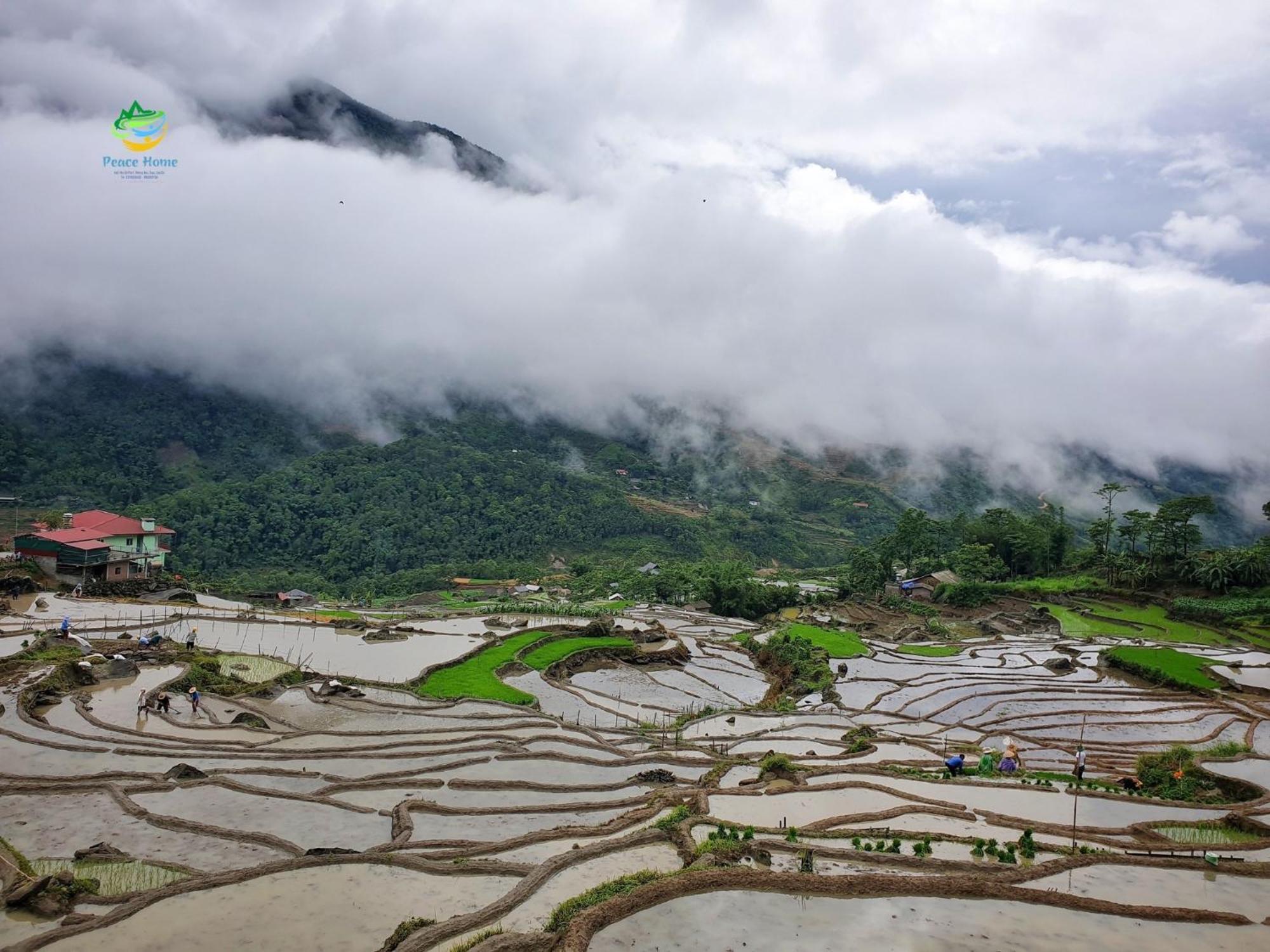 Peace Home Sapa Bagian luar foto